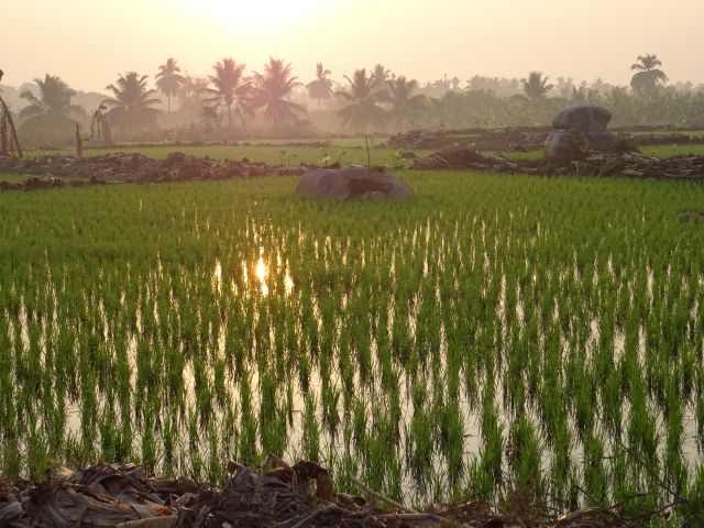 Hampi